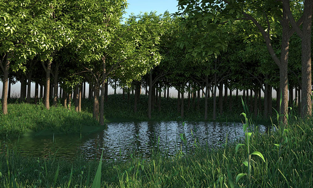 landscape view designs in chennai