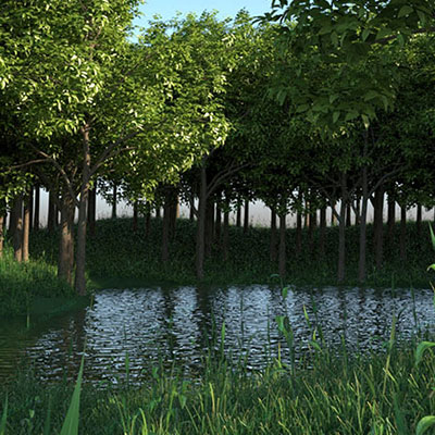 landscape view designs in chennai