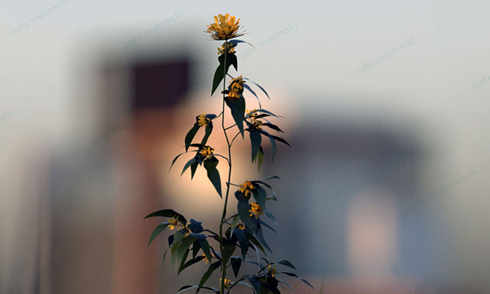 landscape view designs in chennai