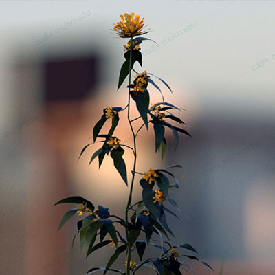 landscape view designs in chennai